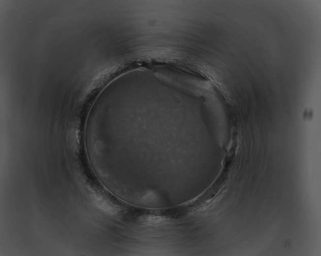 X0000091690590200708301542