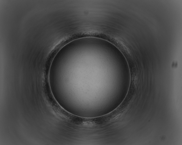 X0000091690591200708301542