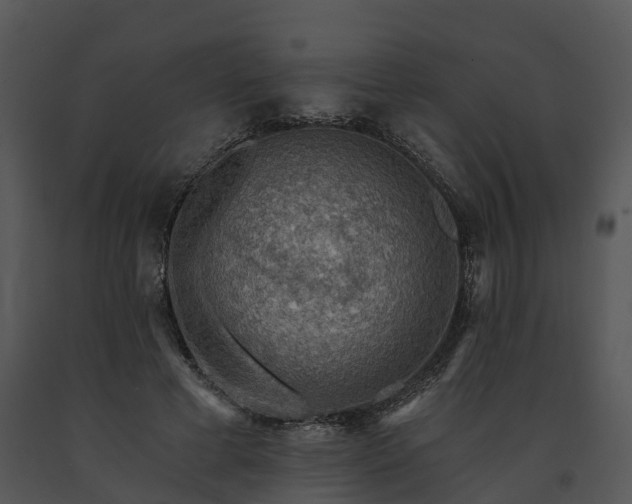 X0000091690593200708301542