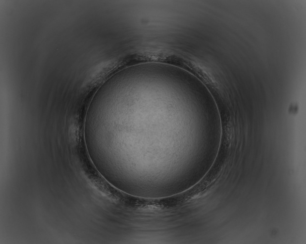 X0000091690594200708301542
