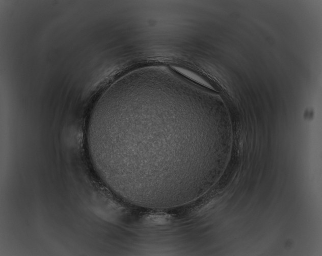 X0000091690595200708301542