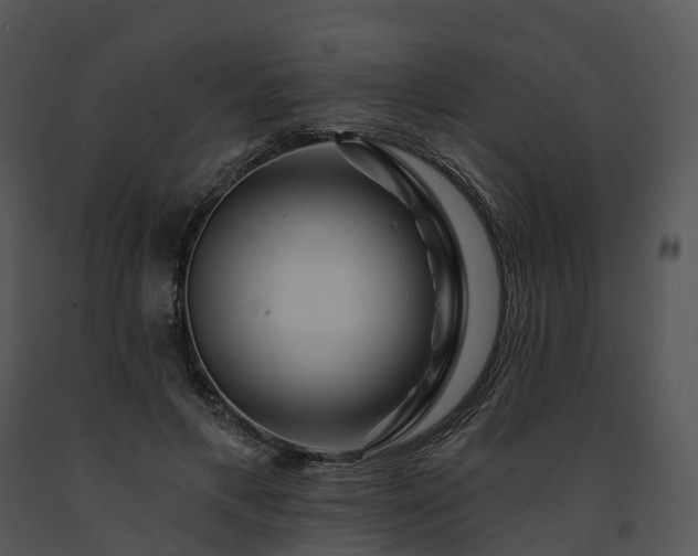 X0000091690597200708301542