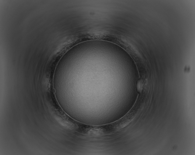 X0000091690599200708301542