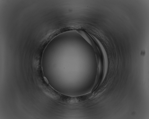 X0000091690600200708301542