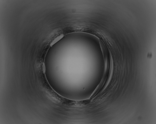X0000091690601200708301542