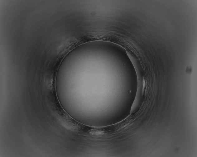 X0000091690602200708301542