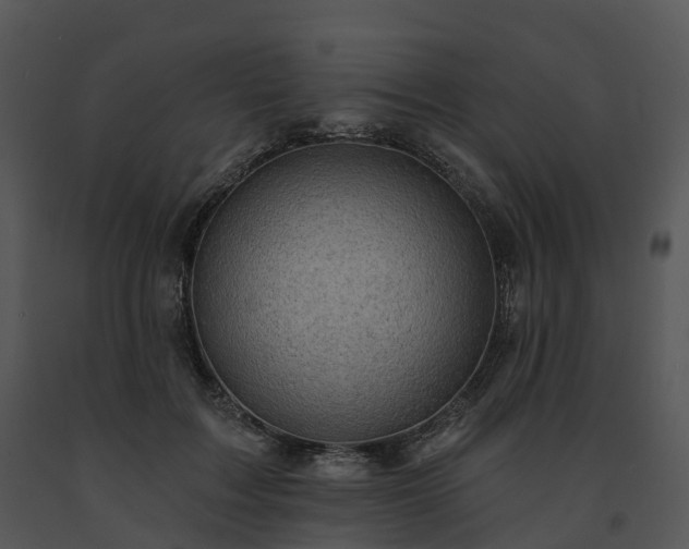 X0000091690603200708301542