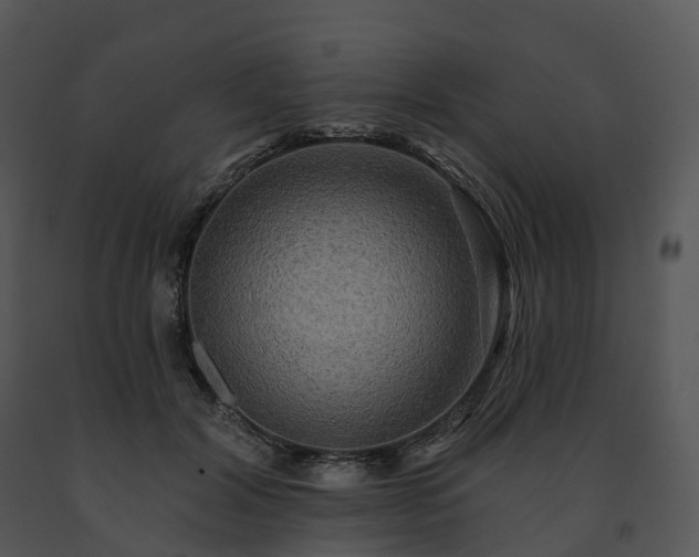 X0000091690604200708301542