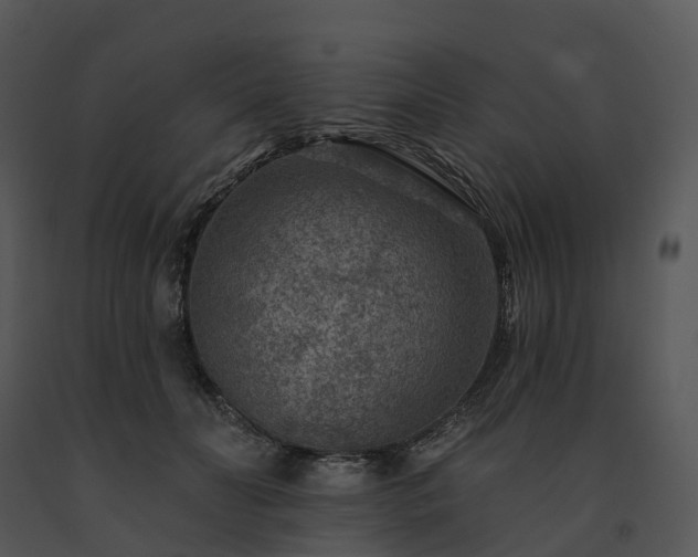 X0000091690606200708301542