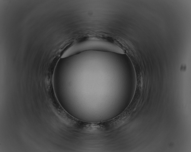 X0000091690607200708301542