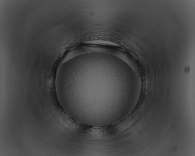 X0000091690608200708301542