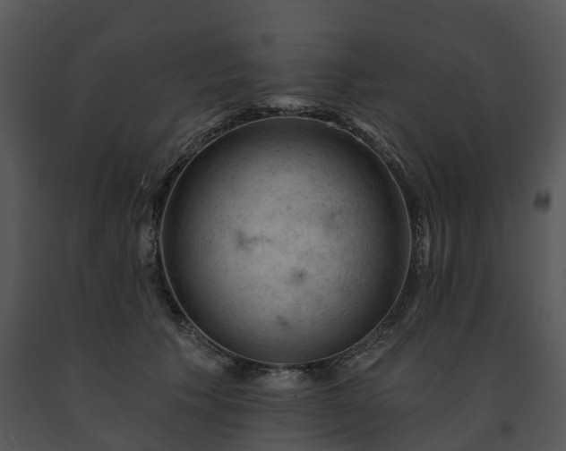 X0000091690609200708301542
