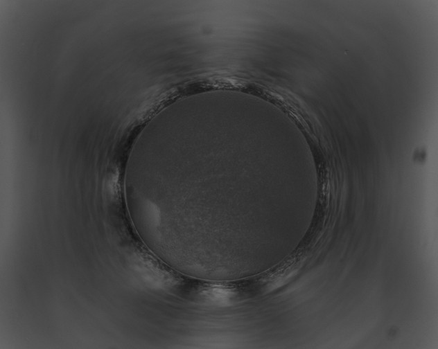 X0000091690610200708301542