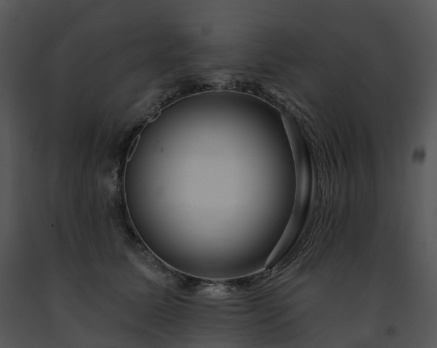 X0000091690611200708301542
