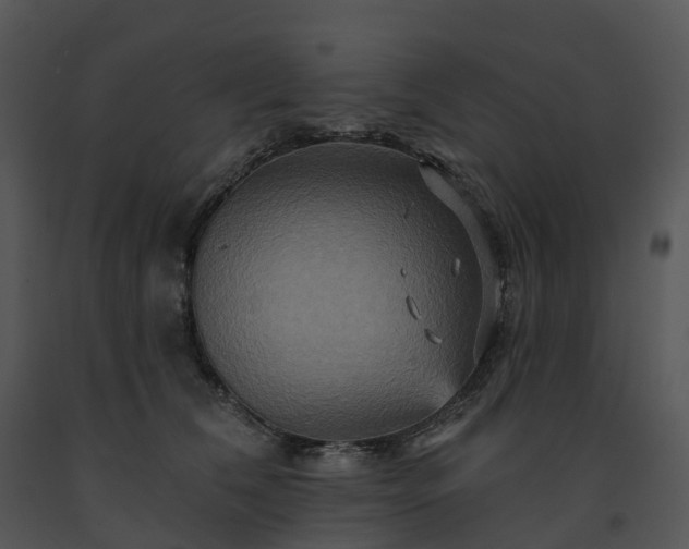 X0000091690612200708301542