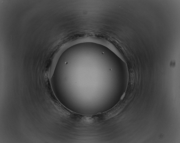 X0000091690613200708301542