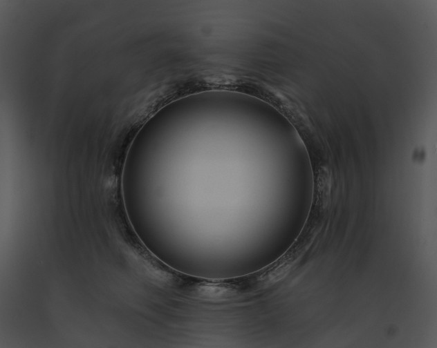 X0000091690614200708301542