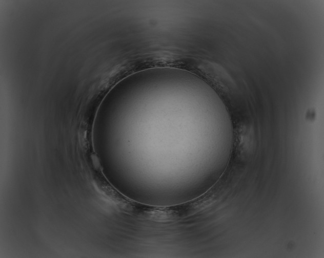 X0000091690615200708301542