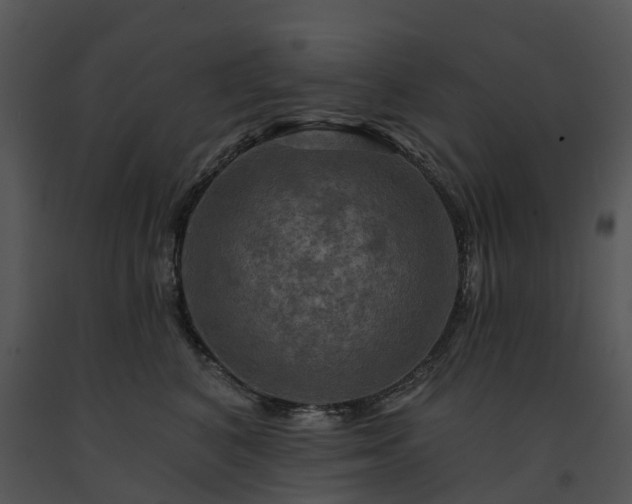 X0000091690616200708301542