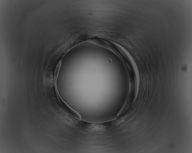 X0000091690617200708301542