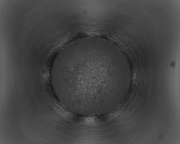 X0000091690618200708301542