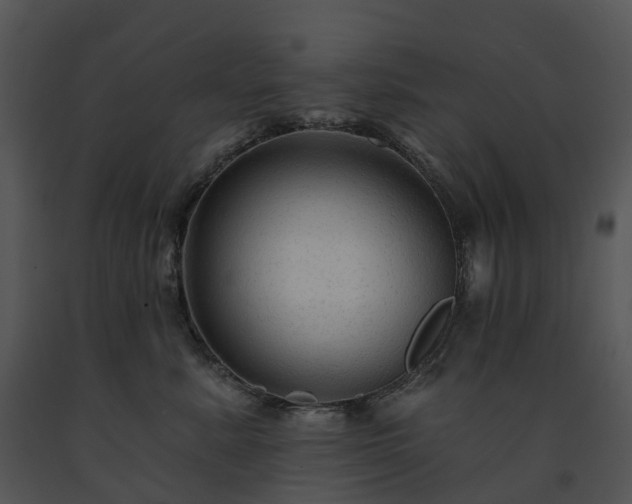 X0000091690619200708301541