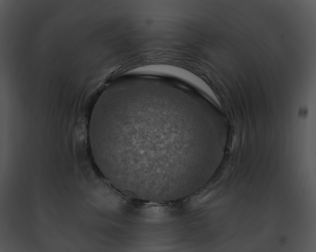 X0000091690620200708301541