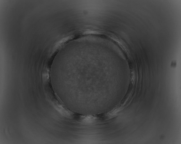 X0000091690621200708301541