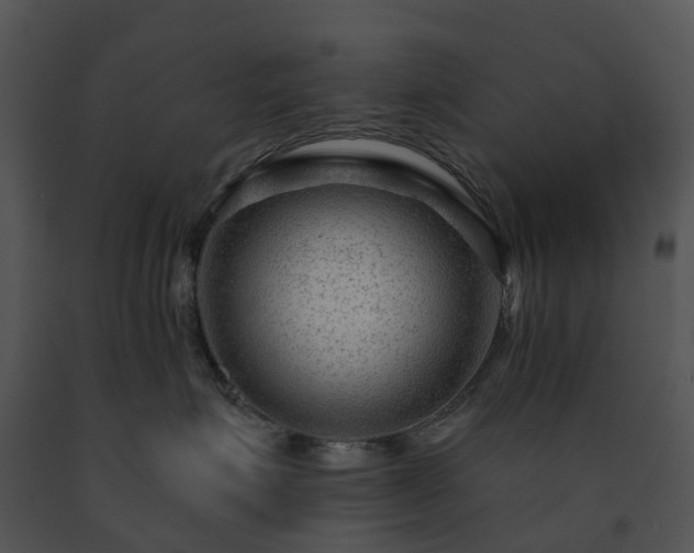 X0000091690623200708301541