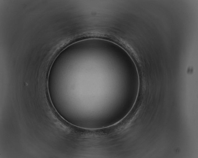 X0000091690625200708301541