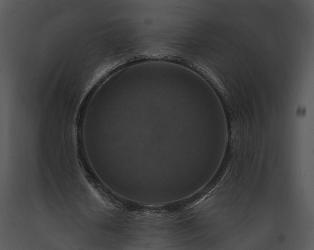 X0000091690626200708301541