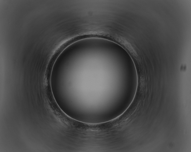 X0000091690628200708301541