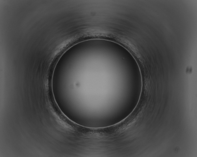 X0000091690629200708301541