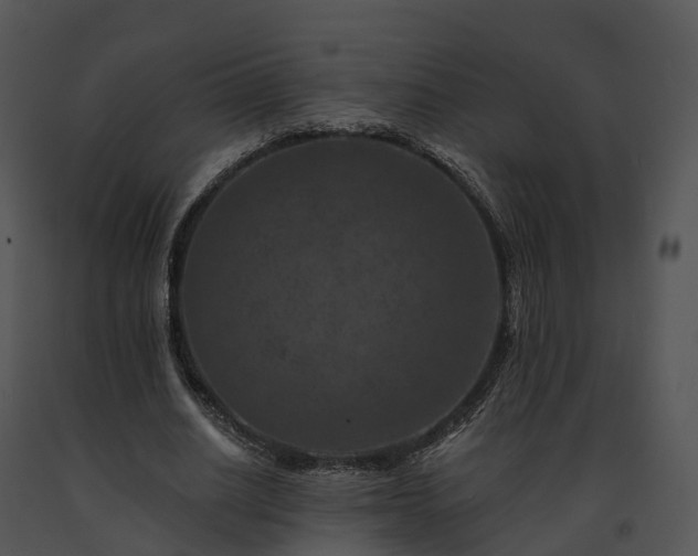 X0000091690630200708301541