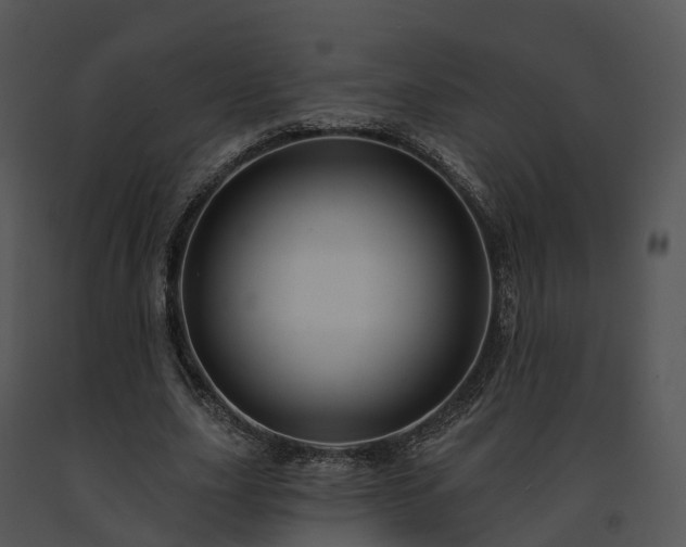 X0000091690631200708301541