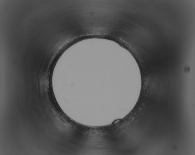 X0000091690632200708301541