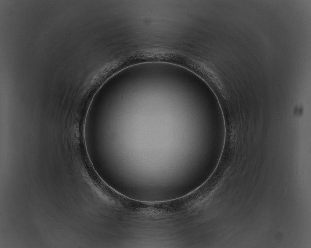 X0000091690633200708301541