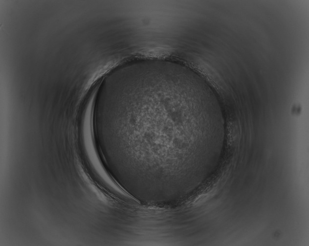 X0000091690634200708301541