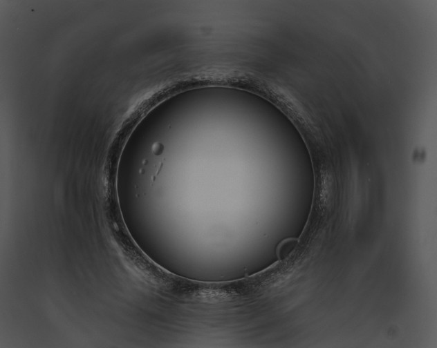 X0000091690636200708301541
