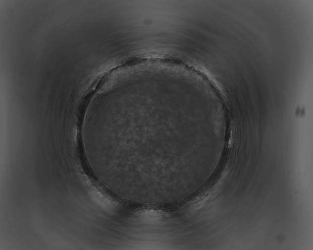 X0000091690637200708301541