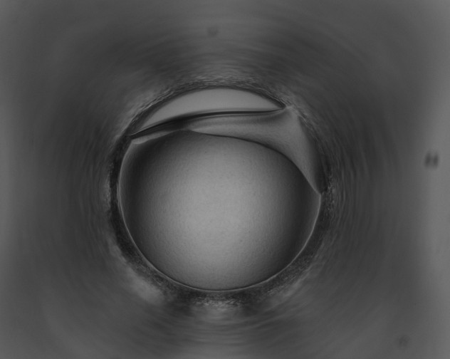 X0000091690638200708301541