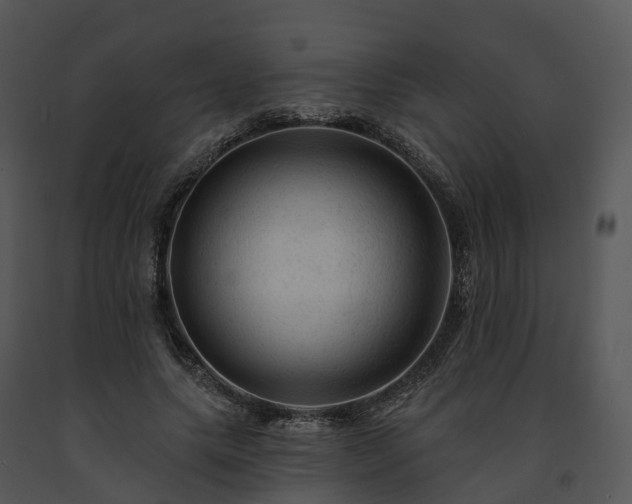 X0000091690639200708301541