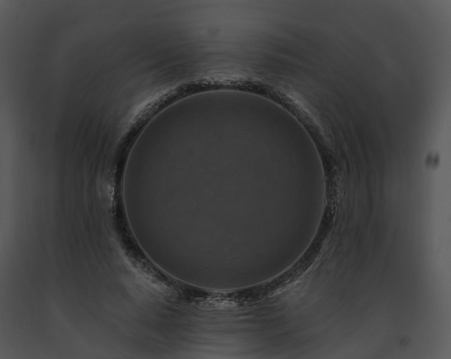 X0000091690640200708301541