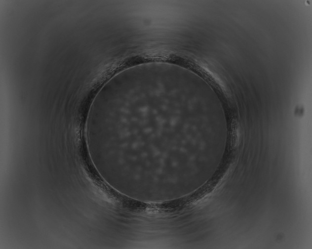X0000091690641200708301541