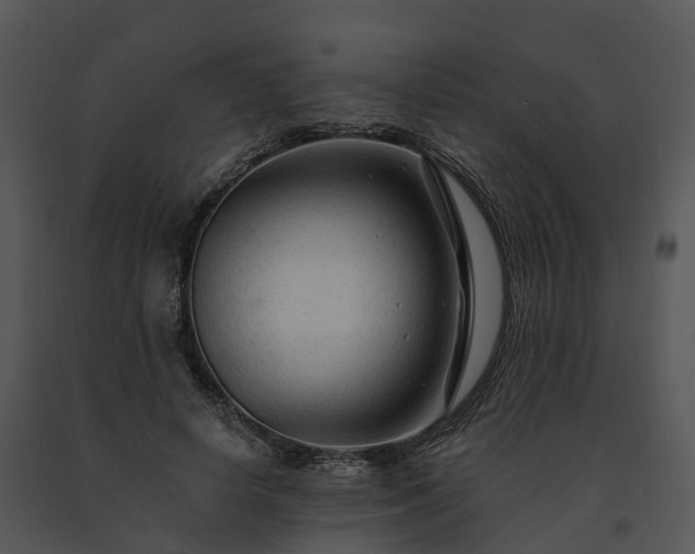 X0000091690642200708301541