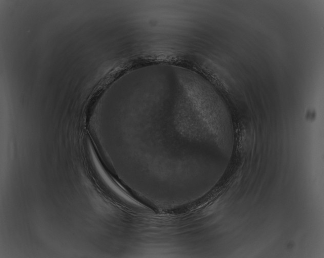X0000091690643200708301541