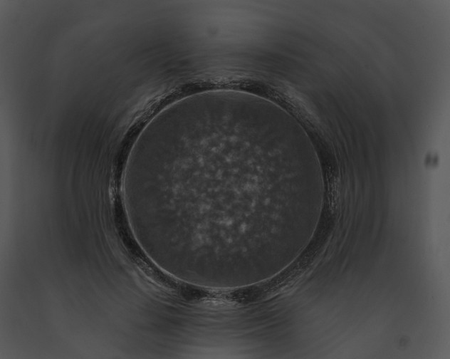 X0000091690644200708301541