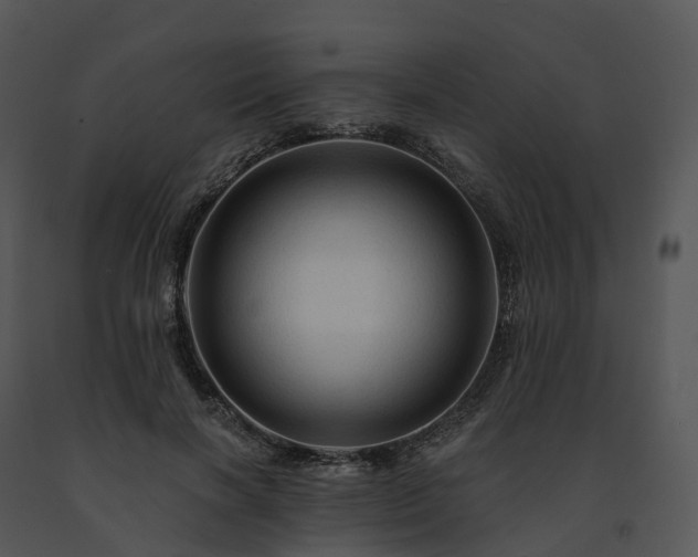 X0000091690646200708301541