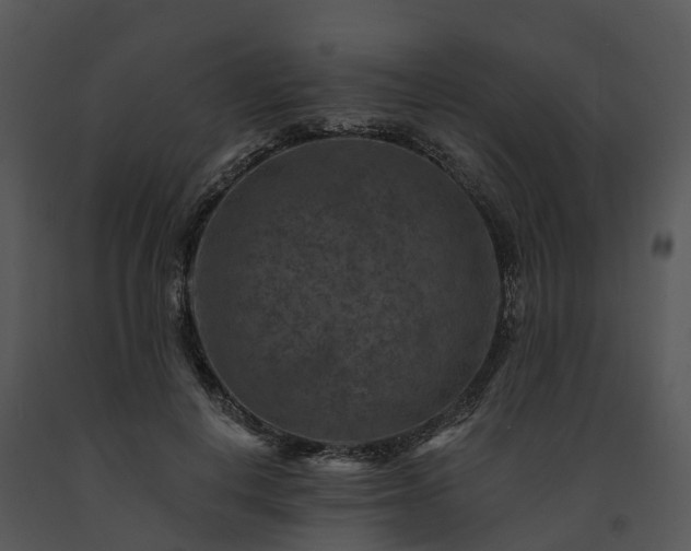 X0000091690648200708301541