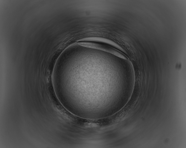 X0000091690649200708301541